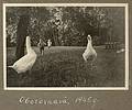 1945 - Oberornau, Bavaria, Germany.<br />Egils and Baiba.
