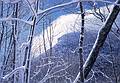 Nov 1962 - Franconia Notch, NH.<br />Old Man of the Mountain as seen from the Greenleaf Trail.