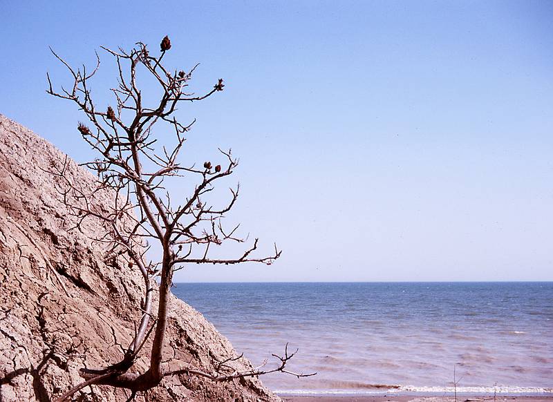 April 1963 - North shore of Lake Erie, Canada.