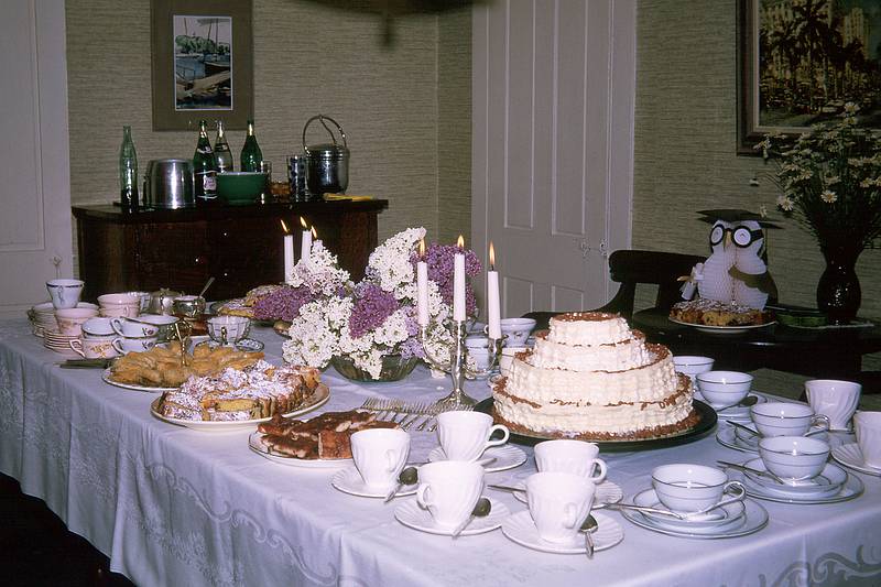 June 1965 - At the Delviks in Manchester by the Sea.<br />Baiba's, Juris', and Helga's graduation partty.