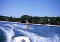 July 1965 - Manchester by the Sea, MA.<br />Egils waterskiing in Black Beach cove.