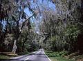 April 10, 1966 - Heading for Middleton Gardens, South Carolina.<br />Spanish moss covered trees.