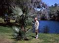 April 10, 1966 - Middleton Gardens, South Carolina.<br />Frank and palm trees.