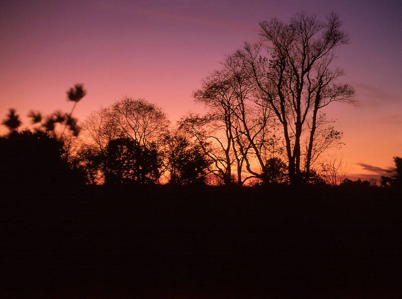 Oct 1966 - Princeton University, Princeton, NJ.<br />Sunset.