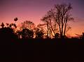 Oct 1966 - Princeton University, Princeton, NJ.<br />Sunset.