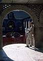 Nov 6, 1966 - Brookgreen Gardens, South Carolina.<br />Frank.