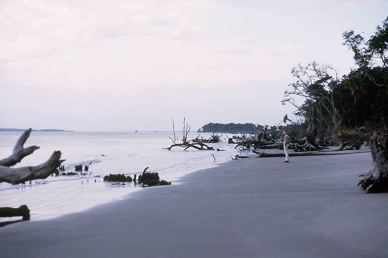 Nov 7, 1966 - Beach near Charleston, South Carolina.