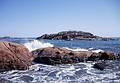 April 1967 - Curtis Estate, Manchester by the Sea, Massachusetts.<br />Graves Island.