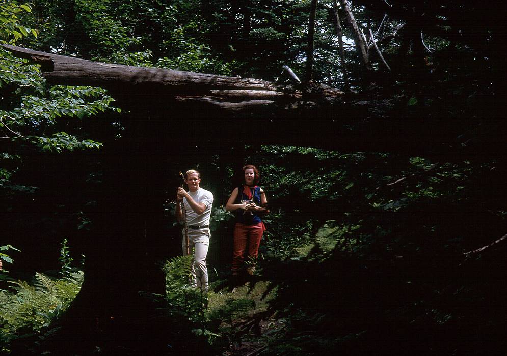 Aug 1967 - Hike up Stratton Mtn.(?), Vermont.<br />Larry and Barbara.