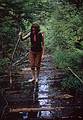 Aug 1967 - Hike up Stratton Mtn.(?), Vermont.<br />Barbara.