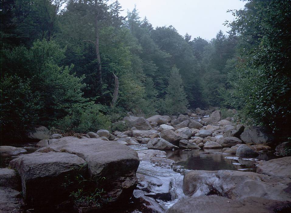 Aug 1967 - Hike up Mt. Marcy in the Adirondacks, NY.<br />John's Brook.