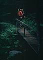 Aug 1967 - Hike up Mt. Marcy in the Adirondacks, NY.<br />Gerd.
