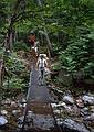 Aug 1967 - Hike up Mt. Marcy in the Adirondacks, NY.<br />Dan on the bridge.