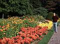 Oct 1967 - Longwood Gardens, Kennett Square, Pennsylvania.<br />Juris.