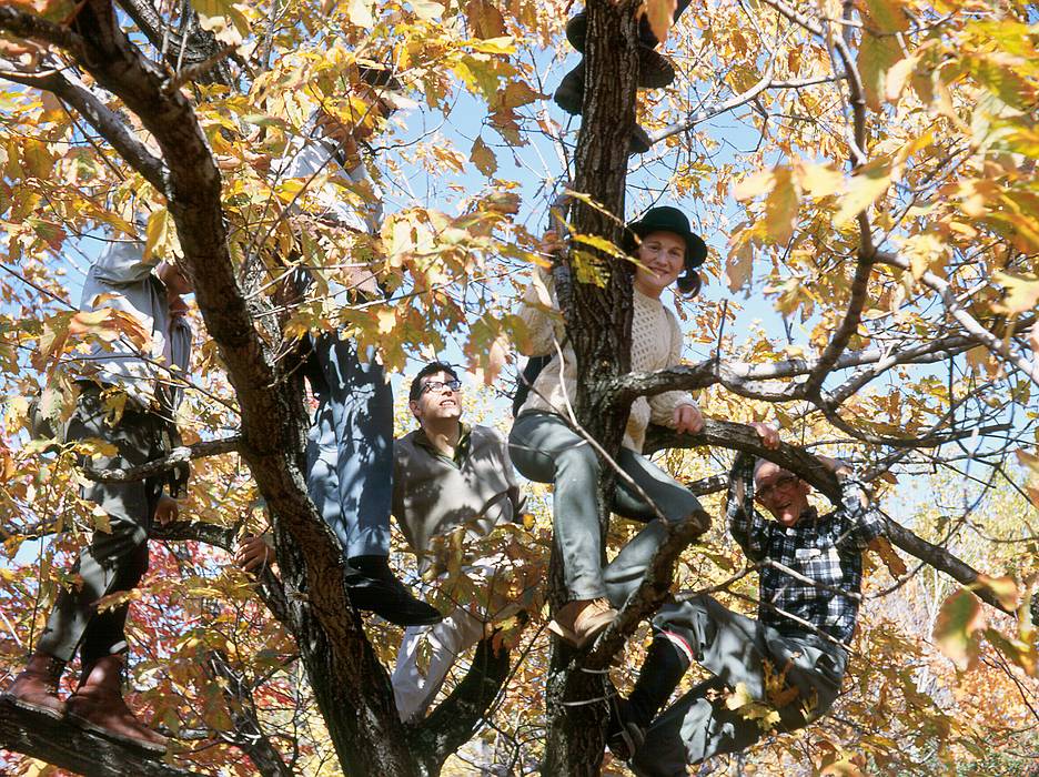 Nov 1967 - Murray Hill Canoe Club hike along the Appalachian Trail in NJ.<br />Strange birds in this part of the country.