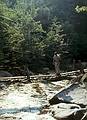 July 13, 1968 - Adirondacks, New York.<br />Jack crossing Calamity Brook on way to lean-to at Lake Colden.