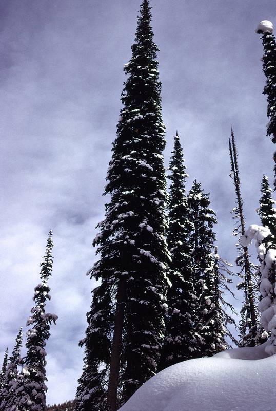 Jan 4, 1974 - Bugaboos, British Columbia, Canada.<br />Canadian Mountain Holiday helicopter skiing in the Bugaboos.