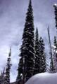 Jan 4, 1974 - Bugaboos, British Columbia, Canada.<br />Canadian Mountain Holiday helicopter skiing in the Bugaboos.