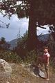 August 12, 1979 - Off I-80 at Donner Pass, California<br />Julian.