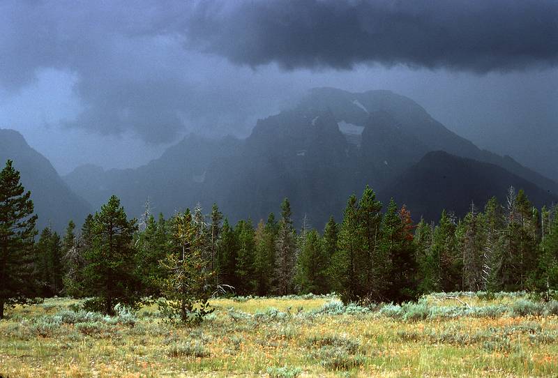 August 14, 1979 - Grand Teton National Park, Wyoming.<br />Mt. Moran.