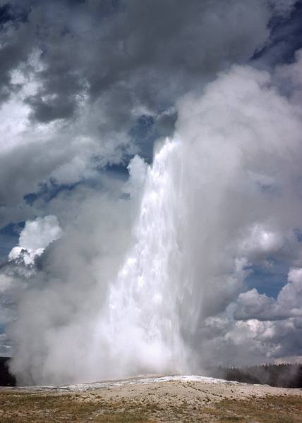 August 15, 1979 - Yellowstone National Park, Wyoming.<br />Old Faithfull Geyser.