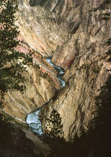 August 15, 1979 - Yellowstone National Park, Wyoming.<br />Yellowstone River canyon from Inspiration Point.