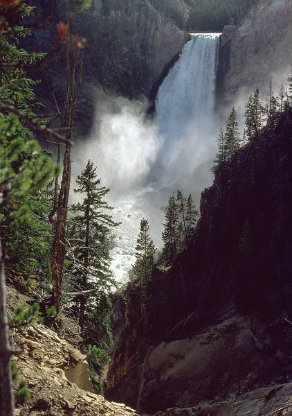 August 15, 1979 - Yellowstone National Park, Wyoming.<br />Lower Falls of the Yellowstone River from Red Rock Point.