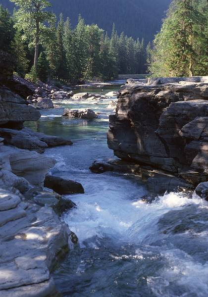 August 17, 1979 - Glacier National Park, Montana.<br />McDonald Falls.
