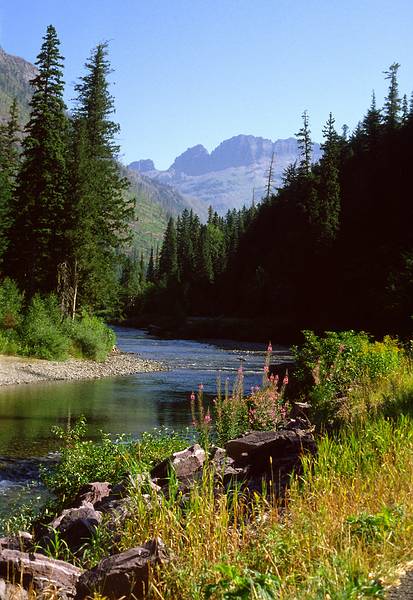 August 17, 1979 - Glacier National Park, Montana.<br />McDonald Creek.