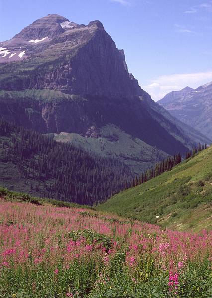 August 17, 1979 - Glacier National Park, Montana.<br />Near Logan Pass.