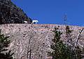 August 17, 1979 - Glacier National Park, Montana.<br />Mountain goats along trail from Hidden Lake to Logan Pass.