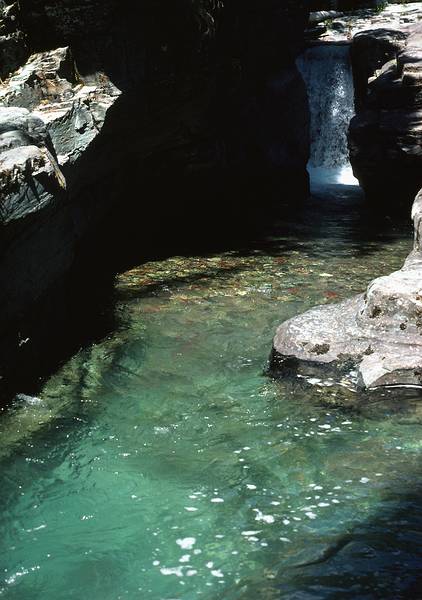 August 17, 1979 - Glacier National Park, Montana.<br />Baring Falls?