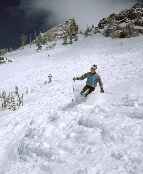Feb. 27, 1981 - Alta, Utah.<br />Dave.