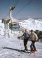 March 7, 1981 - Snowbird, Utah.<br />Dave and Jim.
