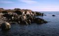 April 12, 1981 - Kennebunkport, Maine.