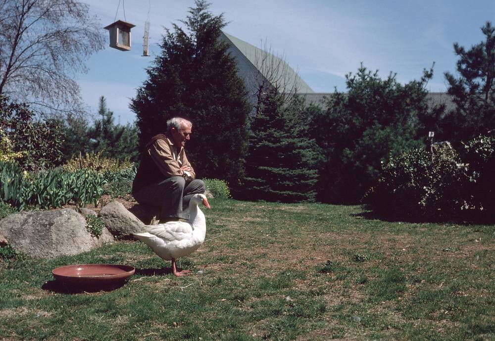 April 19, 1981 - Manchester by the Sea, Massachusetts.<br />Alberts.