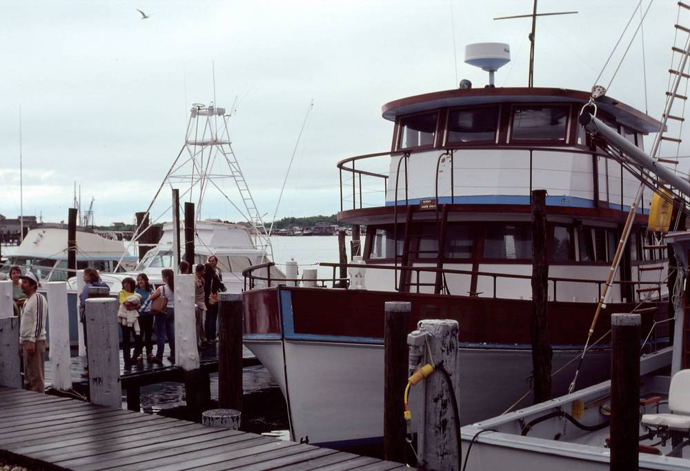 June 20, 1981 - Montauk, Long Island, New York.<br />A whaleless whale watch trip.