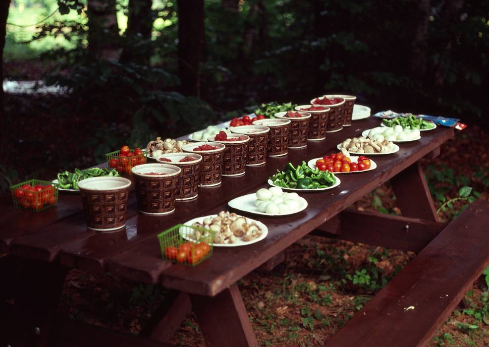 July 18, 1981 - Connecticut River, Vermont side.<br />MV Bell Labs Outing Club canoeing trip.<br />Supper is served.
