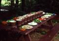 July 18, 1981 - Connecticut River, Vermont side.<br />MV Bell Labs Outing Club canoeing trip.<br />Supper is served.