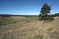 Sept. 14, 1981 - Off US-64 in the Carson National Forest, New Mexico.<br />The grass is getting greener, the evergreens more frequent, the hills bigger.