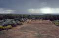 Sept. 14, 1981 - Mesa Verde National Park, Colorado.<br />Far View ruins.