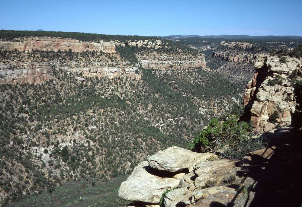 Sept. 15, 1981 - Mesa Verde National Park, Colorado.<br />Navajo Canyon.
