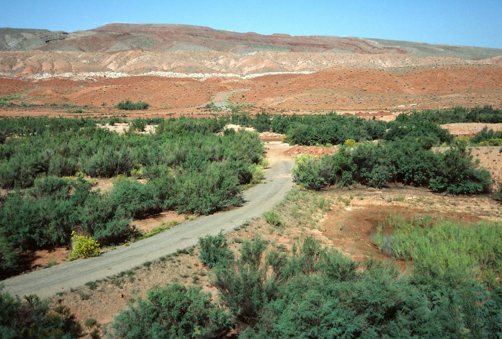 Sept. 16, 1981 - Off US-163 between Bluff and Mexican Hat, Utah.