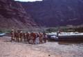 Sept. 17, 1981 - Lee's Ferry, Arizona.<br />Rafters about to embark on a trip through the Grand Canyon.