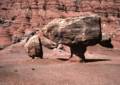 Sept. 17, 1981 - Lee's Ferry, Arizona.