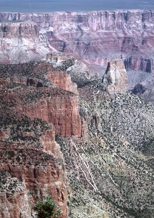 Sept. 17, 1981 - North Rim of the Grand Canyon, Arizona.<br />135 mm view east from Walhalla Plateau along the wall of a side canyon to the Colorado.