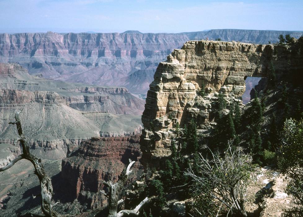 Sept. 17, 1981 - North Rim of the Grand Canyon, Arizona.<br />Overlook at Cape Royal.