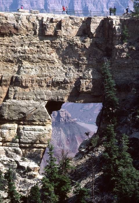 Sept. 17, 1981 - North Rim of the Grand Canyon, Arizona.<br />A glimpse of the Colorado throught the hole below Cape Royal overlook.