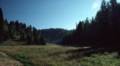 Sept. 18, 1981 - North Rim of the Grand Canyon, Arizona.<br />Views along the access road as we leave for the South Rim.