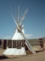 Sept. 18, 1981 - Off AZ-65 at overlook of the Little Colorado Canyon.<br />Navajo teepee and rugs.